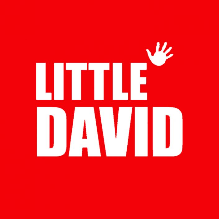 Little David